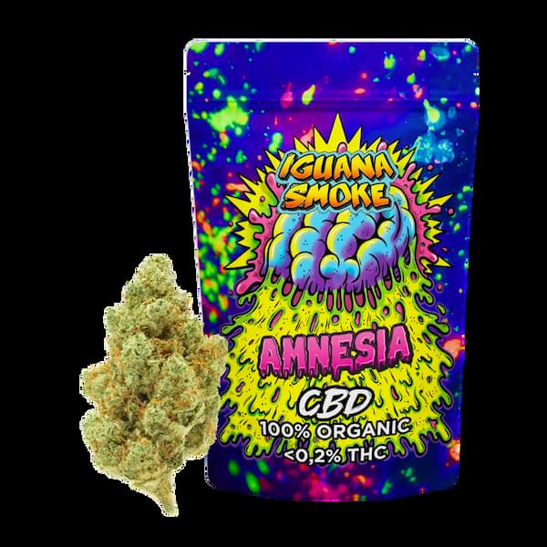 Amnesia CBD > Iguana Smoke | CBD Products